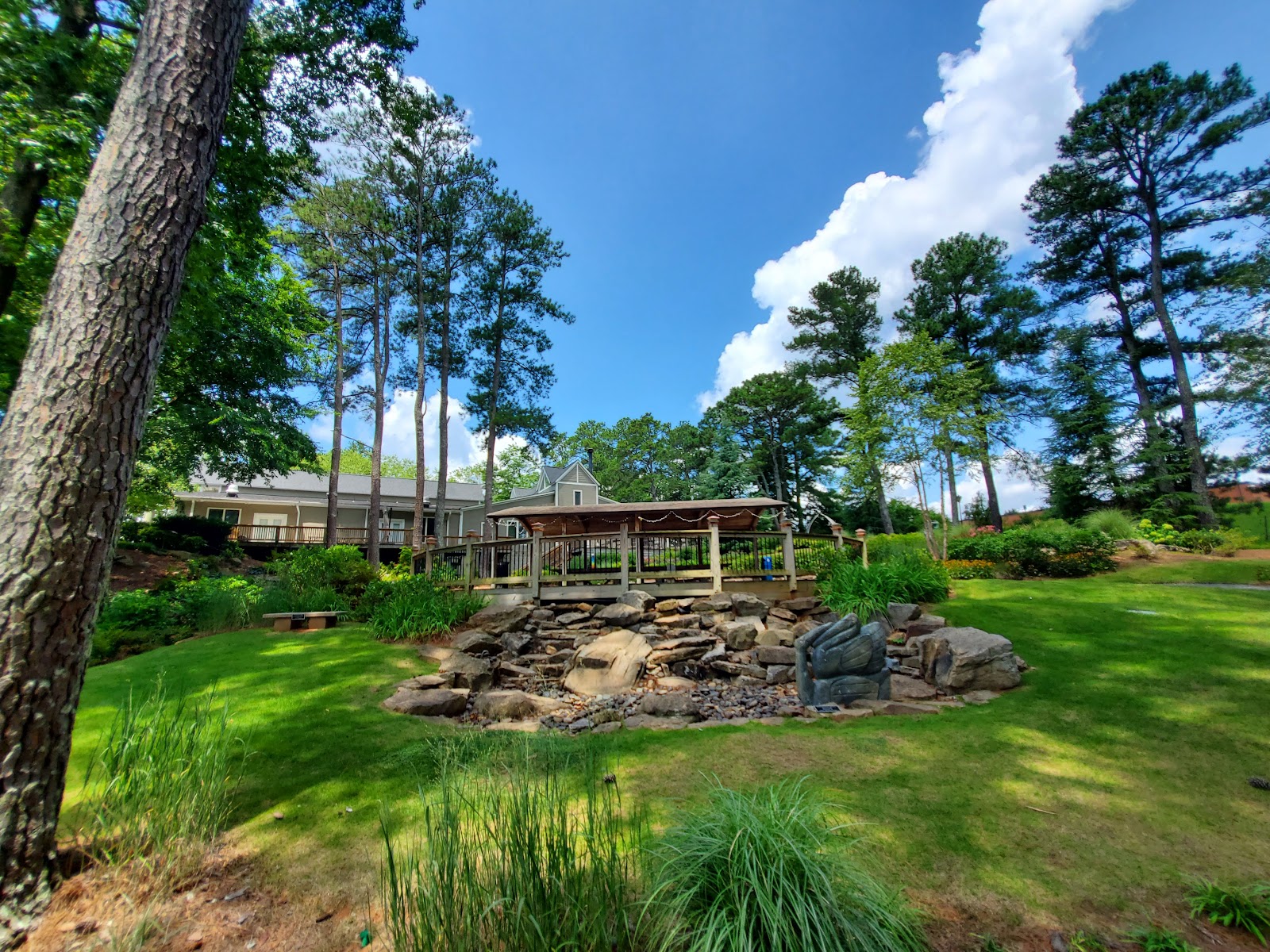 Roswell Area Park photo 6