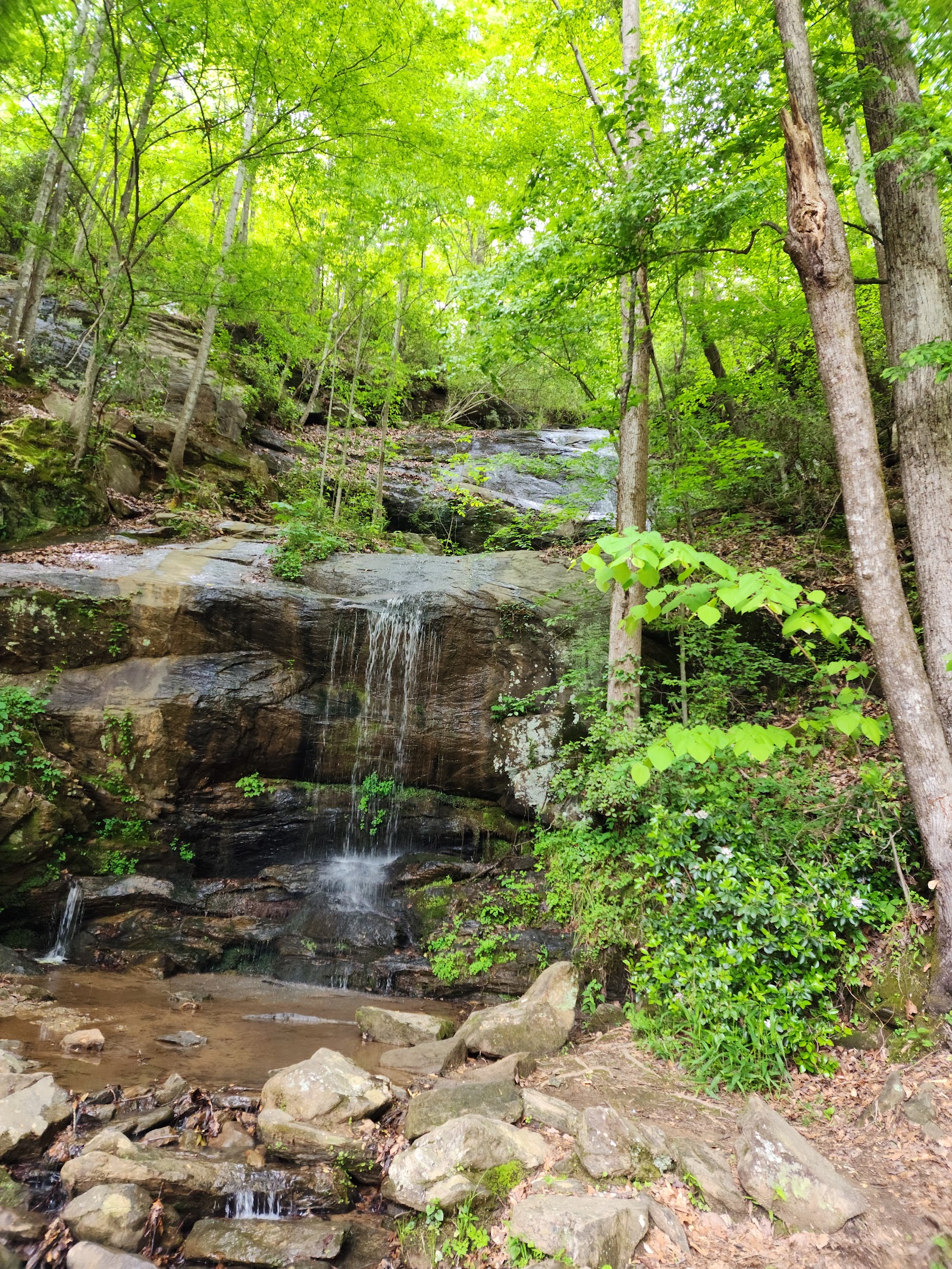 Toccoa Falls photo 4