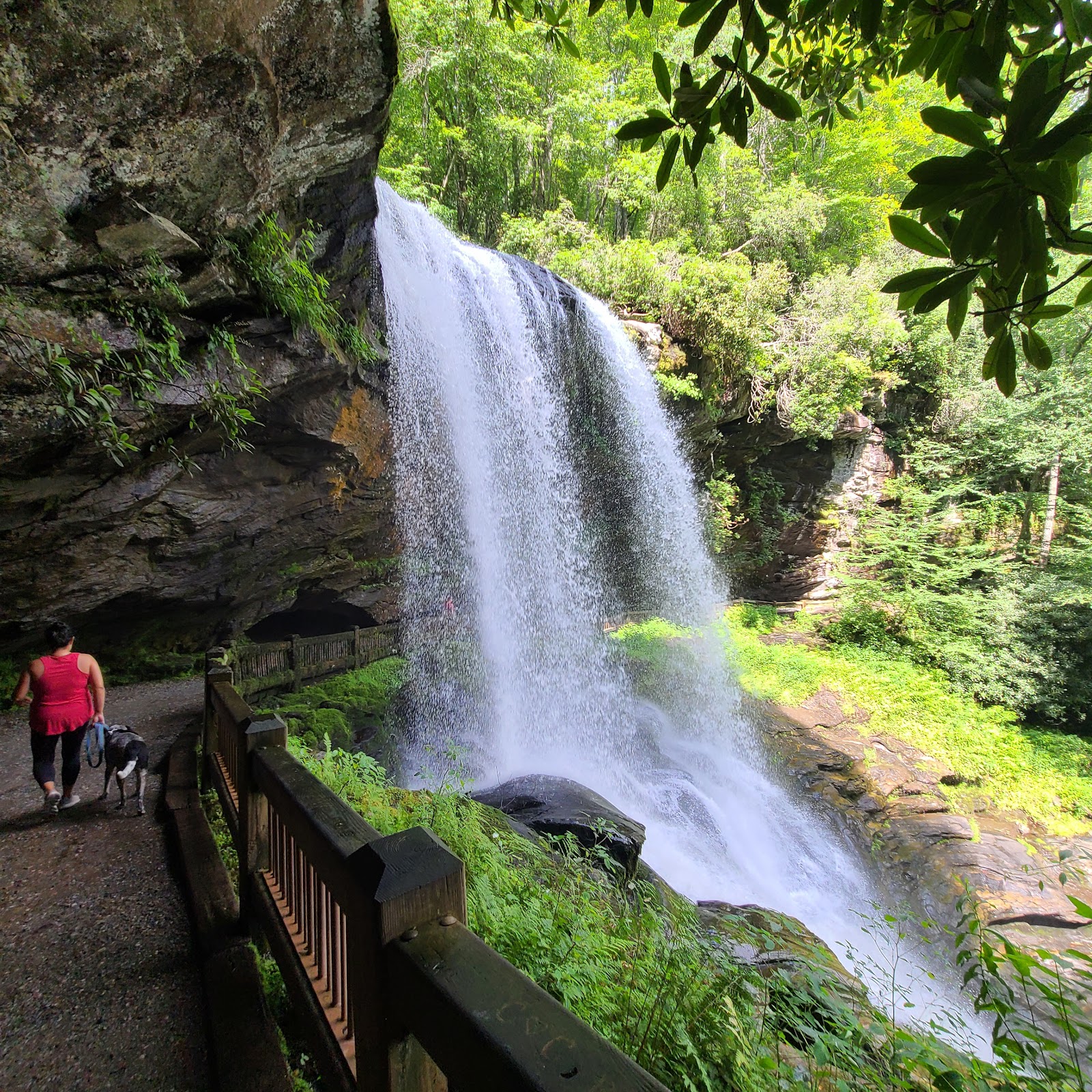 Dry Falls photo 4