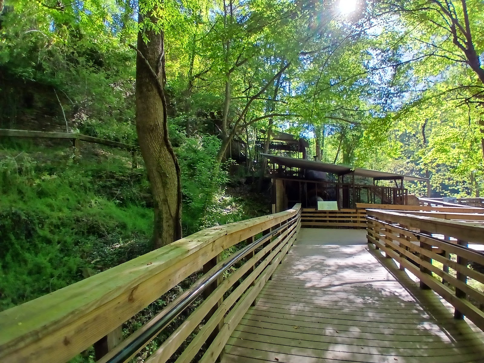 Vickery Creek Old Mill Park photo 2