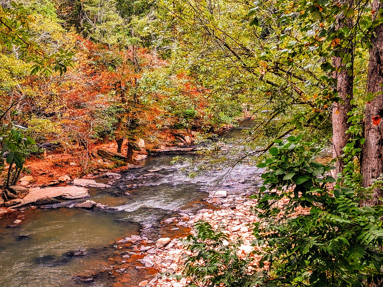 Vickery Creek Old Mill Park photo 3