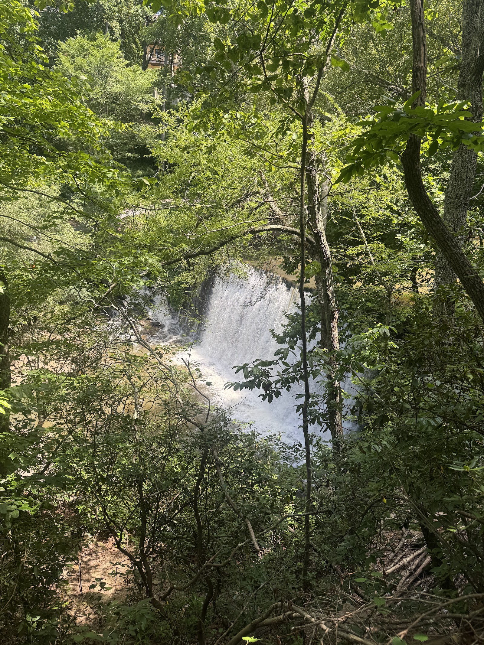 Vickery Creek Old Mill Park photo 6